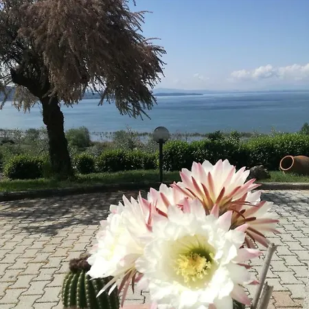 Torre Del Lago Trasimeno *